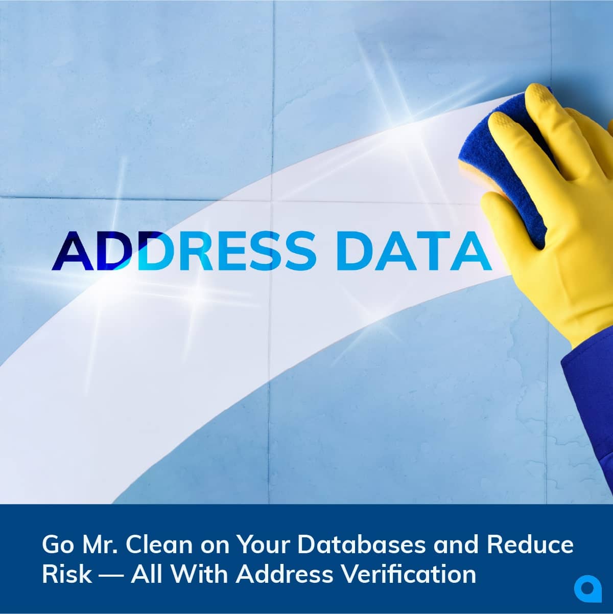 go-mr-clean-on-your-databases-and-reduce-risk-all-with-address